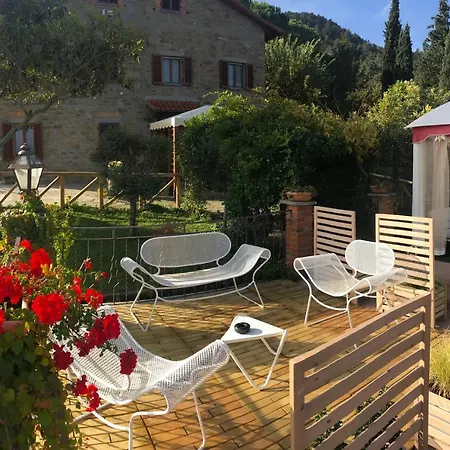 Casa Di Sasso Arezzo