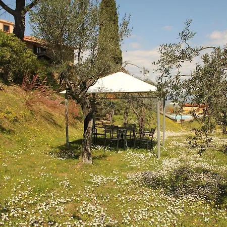 Casa Di Sasso 公寓 阿雷佐